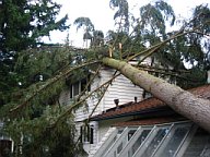 tree pruning