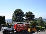 JD Tree Service Equipment